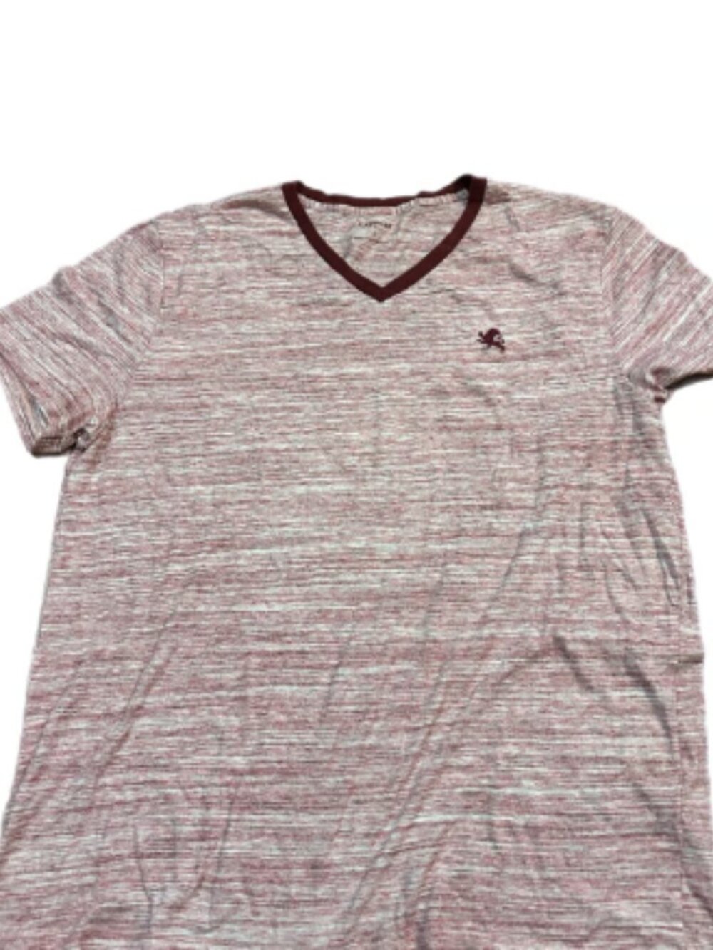 Men’s Express V-neck T-shirt